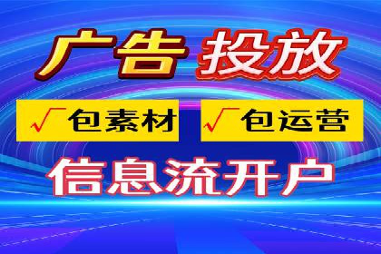 竞价推广中的着陆页策略：成功案例解读
