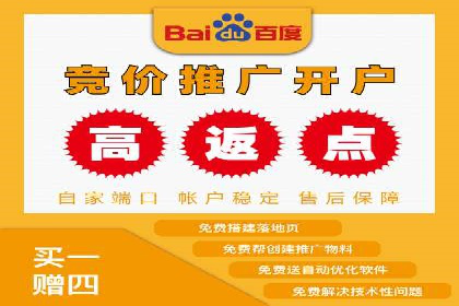 搜索引擎营销（SEM）成功案例详解